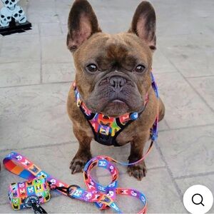 BEAST & BUCKLE
Frenchie Fam No Pull Dog Harness